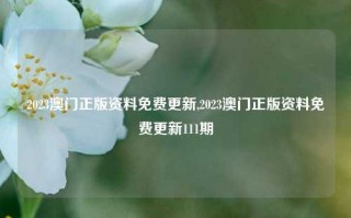 2023澳门正版资料免费更新,2023澳门正版资料免费更新111期