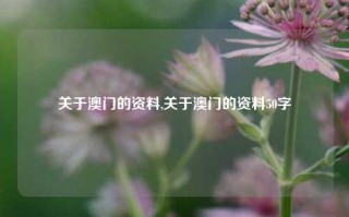 关于澳门的资料,关于澳门的资料50字