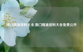 澳门精准资料大全,澳门精准资料大全兔费公开