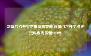 新澳门六开奖结果资料查询,新澳门六开奖结果资料查询最新2023年