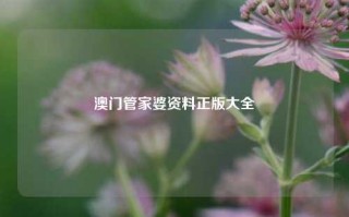 澳门管家婆资料正版大全