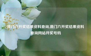 澳门六开奖结果资料查询,澳门六开奖结果资料查询网站开奖号码