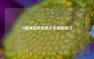 49图库资料免费大全资料澳门