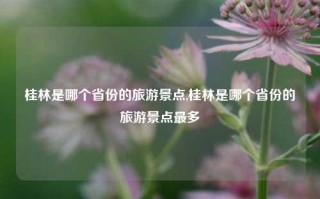 桂林是哪个省份的旅游景点,桂林是哪个省份的旅游景点最多