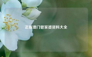 正版澳门管家婆资料大全