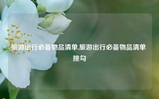 旅游出行必备物品清单,旅游出行必备物品清单 挑勾