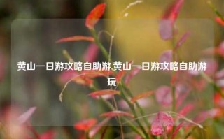 黄山一日游攻略自助游,黄山一日游攻略自助游玩