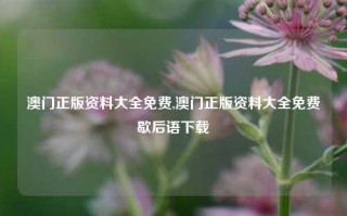 澳门正版资料大全免费,澳门正版资料大全免费歇后语下载