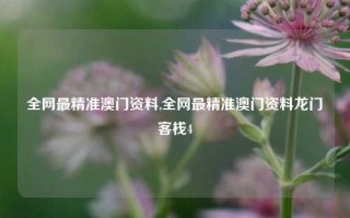 全网最精准澳门资料,全网最精准澳门资料龙门客栈4