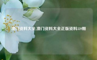 澳门资料大全,澳门资料大全正版资料339期