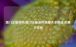 澳门正版资料,澳门正版资料免费大全精准,彩票大乐透