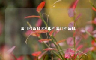 澳门的资料,2023年的澳门的资料