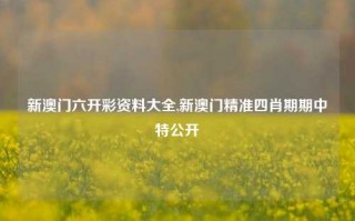 新澳门六开彩资料大全,新澳门精准四肖期期中特公开