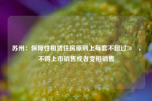 苏州：保障性租赁住房原则上每套不超过70㎡，不得上市销售或者变相销售-第1张图片-旅游攻略网