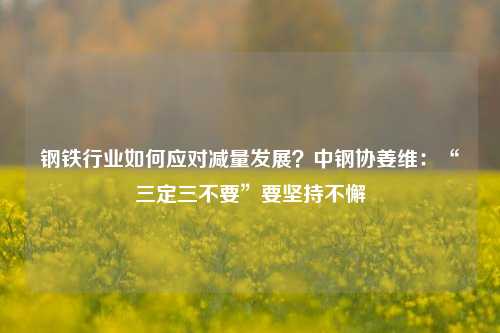 钢铁行业如何应对减量发展？中钢协姜维：“三定三不要”要坚持不懈-第1张图片-旅游攻略网