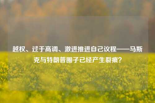 越权、过于高调、激进推进自己议程——马斯克与特朗普圈子已经产生裂痕？-第1张图片-旅游攻略网