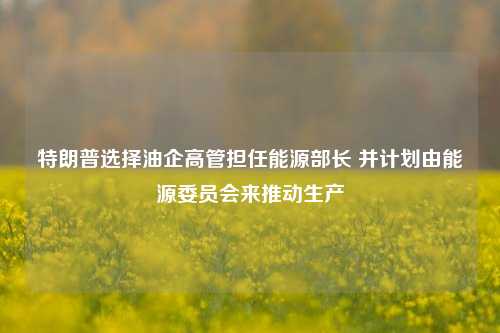 特朗普选择油企高管担任能源部长 并计划由能源委员会来推动生产-第1张图片-旅游攻略网