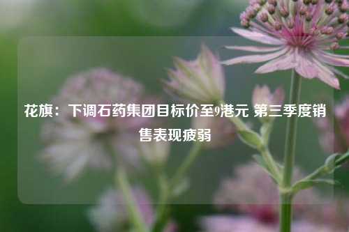 花旗：下调石药集团目标价至9港元 第三季度销售表现疲弱-第1张图片-旅游攻略网