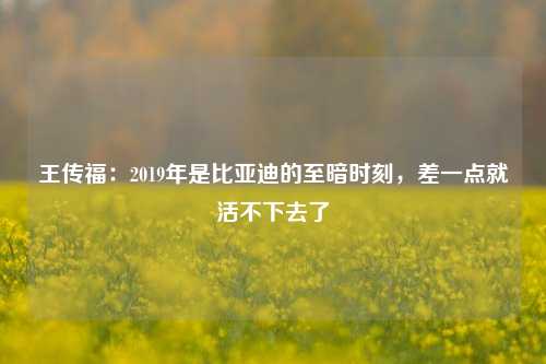 王传福：2019年是比亚迪的至暗时刻，差一点就活不下去了-第1张图片-旅游攻略网