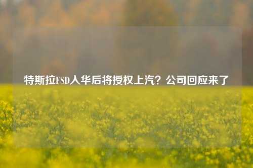 特斯拉FSD入华后将授权上汽？公司回应来了-第1张图片-旅游攻略网