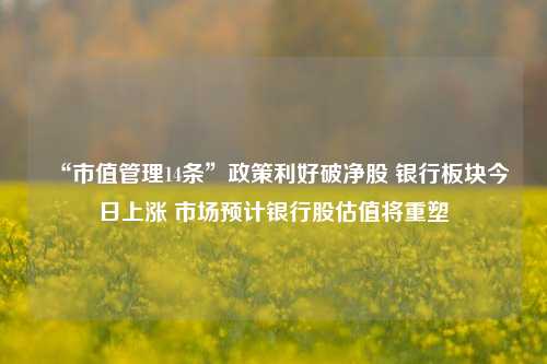 “市值管理14条”政策利好破净股 银行板块今日上涨 市场预计银行股估值将重塑-第1张图片-旅游攻略网