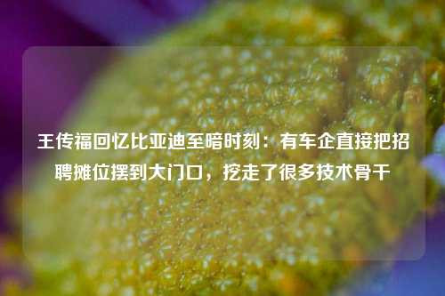 王传福回忆比亚迪至暗时刻：有车企直接把招聘摊位摆到大门口，挖走了很多技术骨干-第1张图片-旅游攻略网