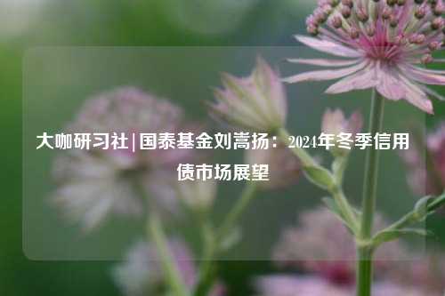 大咖研习社|国泰基金刘嵩扬：2024年冬季信用债市场展望-第1张图片-旅游攻略网