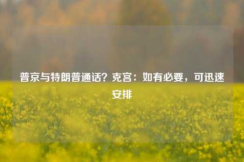 普京与特朗普通话？克宫：如有必要，可迅速安排-第1张图片-旅游攻略网