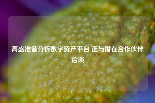 高盛准备分拆数字资产平台 正与潜在合作伙伴洽谈-第1张图片-旅游攻略网