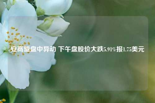 安高盟盘中异动 下午盘股价大跌5.91%报1.75美元-第1张图片-旅游攻略网