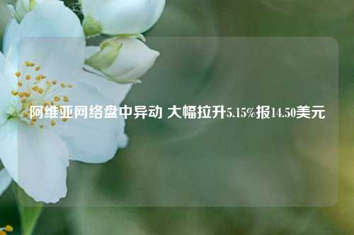 阿维亚网络盘中异动 大幅拉升5.15%报14.50美元-第1张图片-旅游攻略网