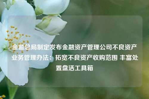 金监总局制定发布金融资产管理公司不良资产业务管理办法：拓宽不良资产收购范围 丰富处置盘活工具箱-第1张图片-旅游攻略网