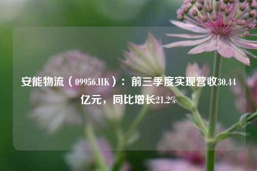 安能物流（09956.HK）：前三季度实现营收30.44亿元，同比增长21.2%-第1张图片-旅游攻略网