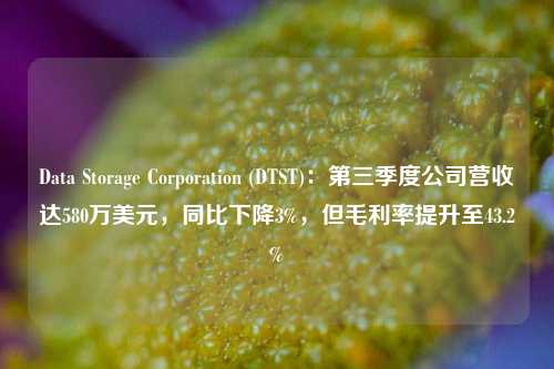 Data Storage Corporation (DTST)：第三季度公司营收达580万美元，同比下降3%，但毛利率提升至43.2%-第1张图片-旅游攻略网