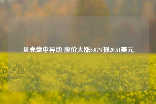 贝壳盘中异动 股价大涨5.07%报20.51美元-第1张图片-旅游攻略网