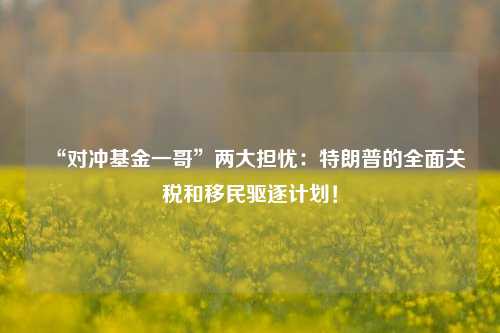 “对冲基金一哥”两大担忧：特朗普的全面关税和移民驱逐计划！-第1张图片-旅游攻略网