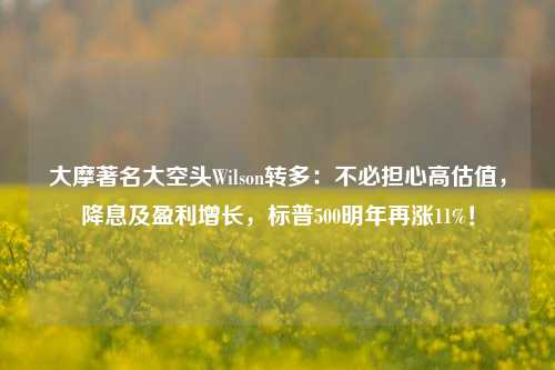 大摩著名大空头Wilson转多：不必担心高估值，降息及盈利增长，标普500明年再涨11%！-第1张图片-旅游攻略网