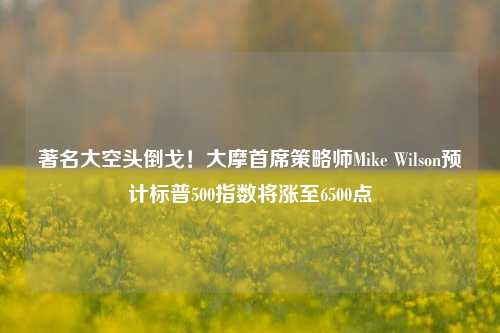 著名大空头倒戈！大摩首席策略师Mike Wilson预计标普500指数将涨至6500点-第1张图片-旅游攻略网