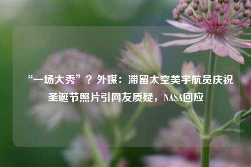 “一场大秀”？外媒：滞留太空美宇航员庆祝圣诞节照片引网友质疑，NASA回应