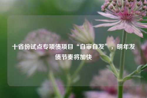 十省份试点专项债项目“自审自发”，明年发债节奏将加快