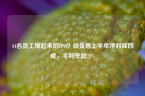 44名员工撑起来的IPO？纽曼思上半年净利降四成，毛利率超71%