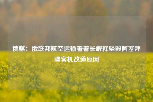 俄媒：俄联邦航空运输署署长解释坠毁阿塞拜疆客机改道原因