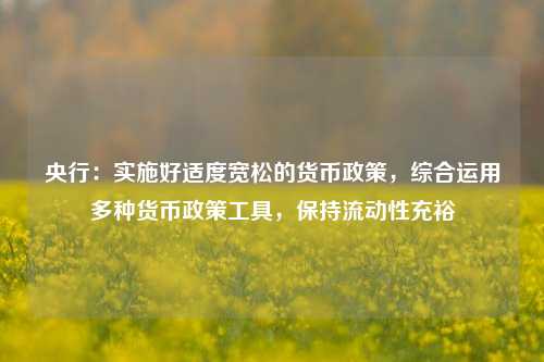 央行：实施好适度宽松的货币政策，综合运用多种货币政策工具，保持流动性充裕