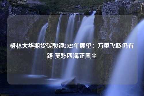 格林大华期货碳酸锂2025年展望：万里飞腾仍有路 莫愁四海正风尘