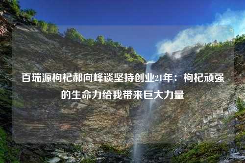 百瑞源枸杞郝向峰谈坚持创业21年：枸杞顽强的生命力给我带来巨大力量