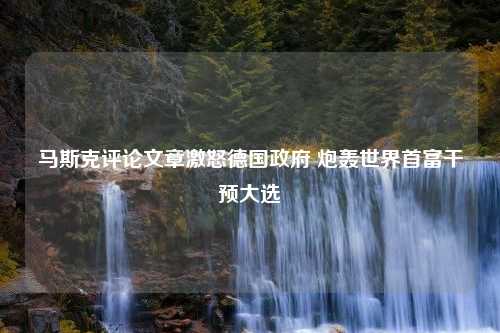 马斯克评论文章激怒德国政府 炮轰世界首富干预大选