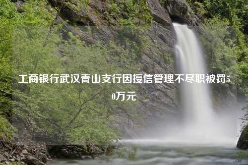 工商银行武汉青山支行因授信管理不尽职被罚50万元