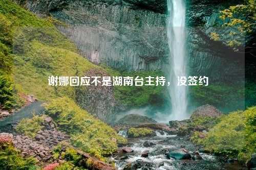 谢娜回应不是湖南台主持，没签约