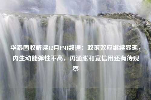 华泰固收解读12月PMI数据：政策效应继续显现，内生动能弹性不高，再通胀和宽信用还有待观察