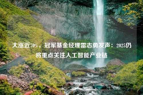 大涨近70%，冠军基金经理雷志勇发声：2025仍将重点关注人工智能产业链